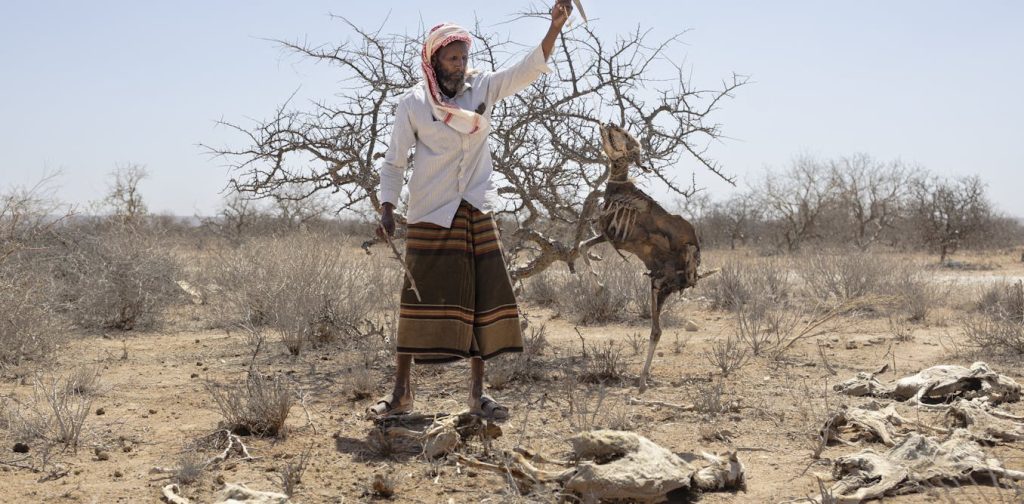 Africa’s Greater Horn region is facing a looming polycrisis fueled by conflict, prices, climate and disease