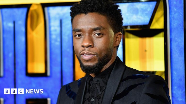 Black Panther star Chadwick Boseman’s family in legal dispute with his widow