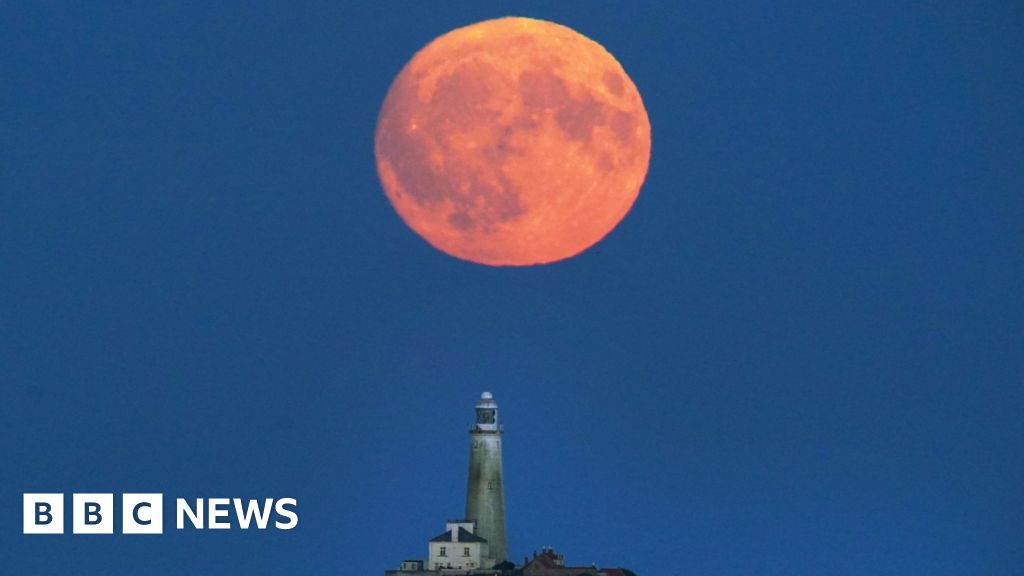 ‘Buck Moon’ set to light up sky