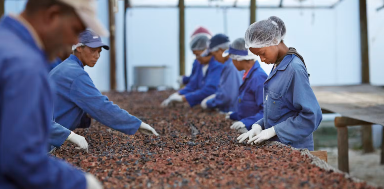 China is funding African farmers but not food processing and storage: why it’s a problem