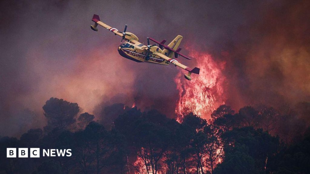 Devastating European wildfires in maps – and how they’re being tackled