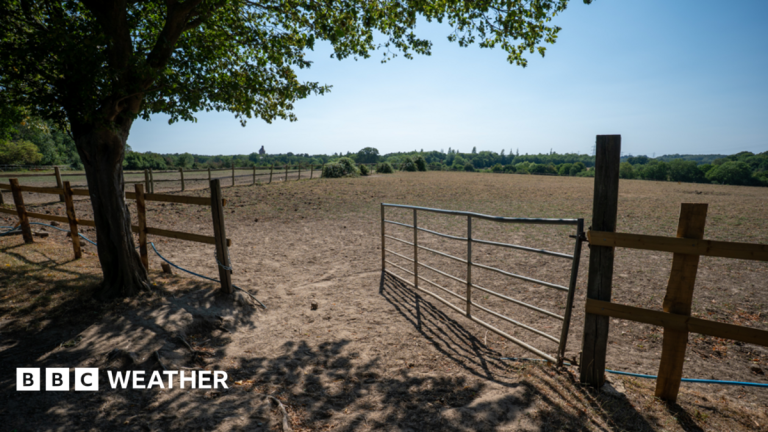 Drought conditions may worsen before improving as little rain in sight