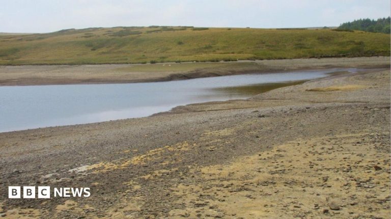 Drought declared across whole of Wales as conditions ‘deteriorate’