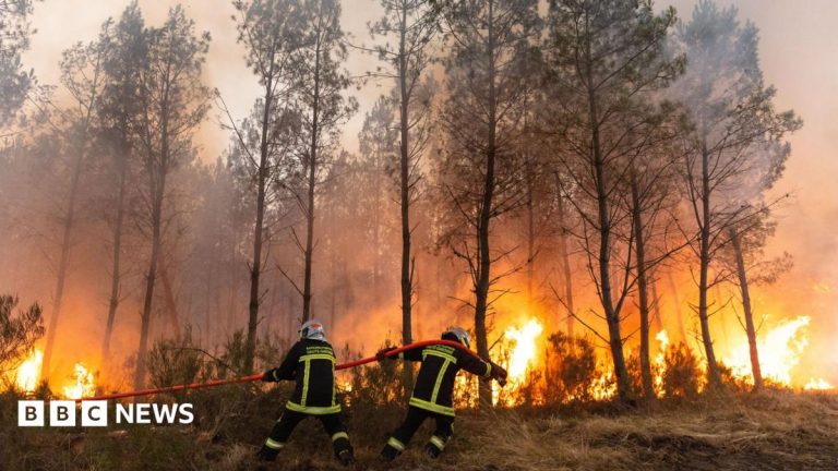 Wildfire witnesses describe ‘wall of flames’, fear and stress