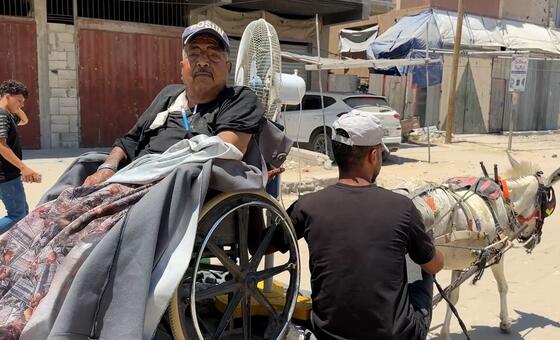 Gaza: Dialysis patients face gruelling hospital journey by donkey cart