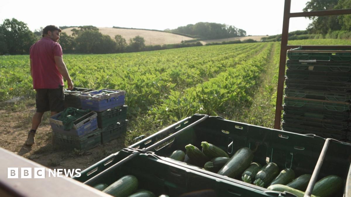 Group’s mission to appreciate every piece of food