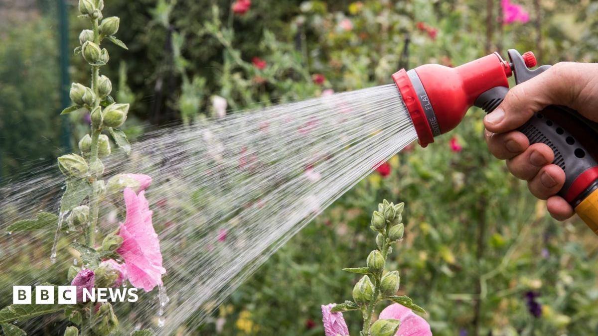 Hosepipe ban in force as drought threatens – is your area affected?