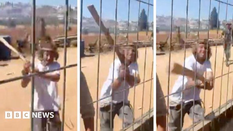 ‘Israeli settlers laid siege to our home’: Inside a Palestinian village under weekly attack