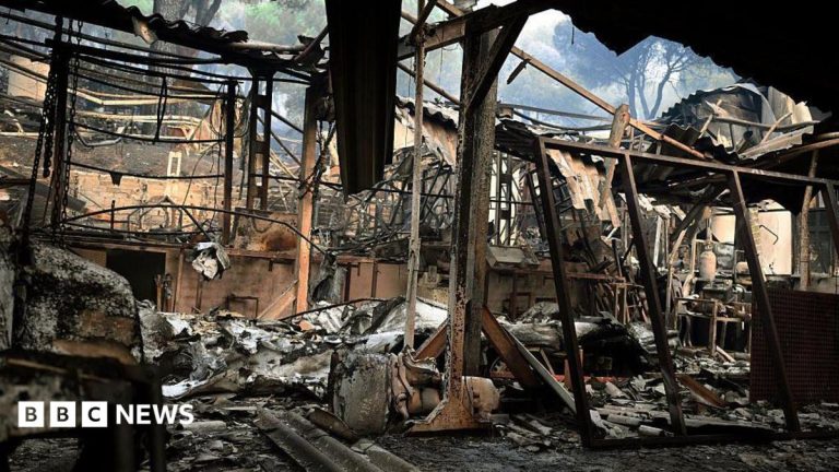 ‘It’s a hell of a situation’: Spain grapples with devastating wildfires