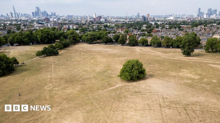 More than half of England in drought, Environment Agency declares