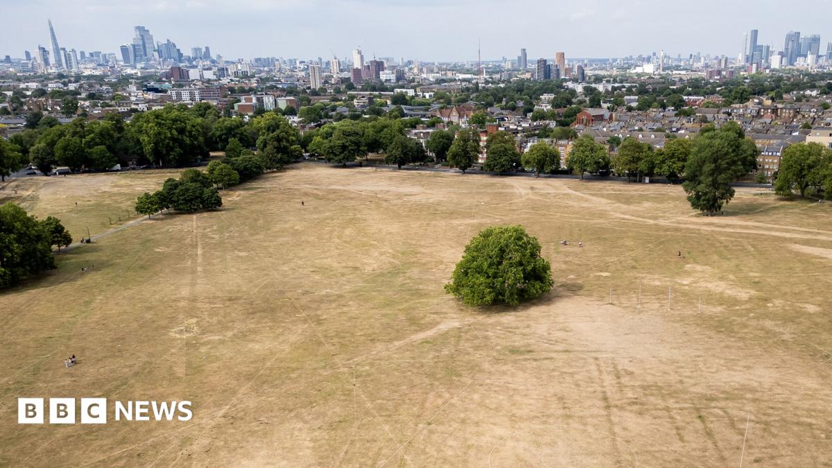 More than half of England in drought, Environment Agency declares