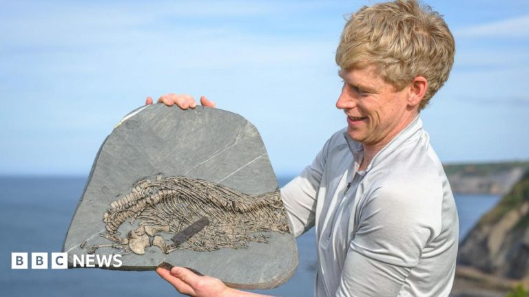 Mountaineer who took up fossil hunting after avalanche discovers rare ‘sea dragon’