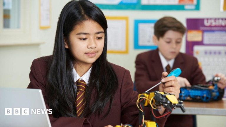 Schools to offer technical subjects to pupils from age 14 in England, Burnham says