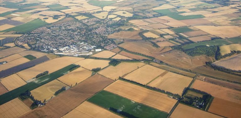 UK drought: crop harvests at severe risk of collapse