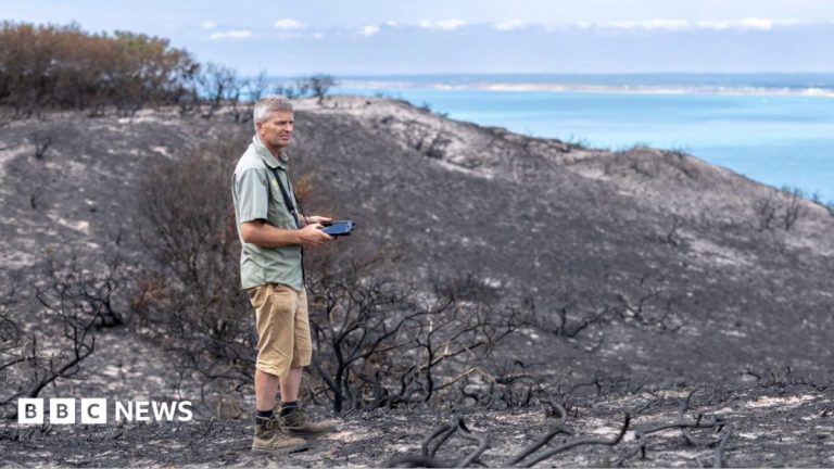 ‘Upsetting’ that camp fire likely led to rare habitat blaze