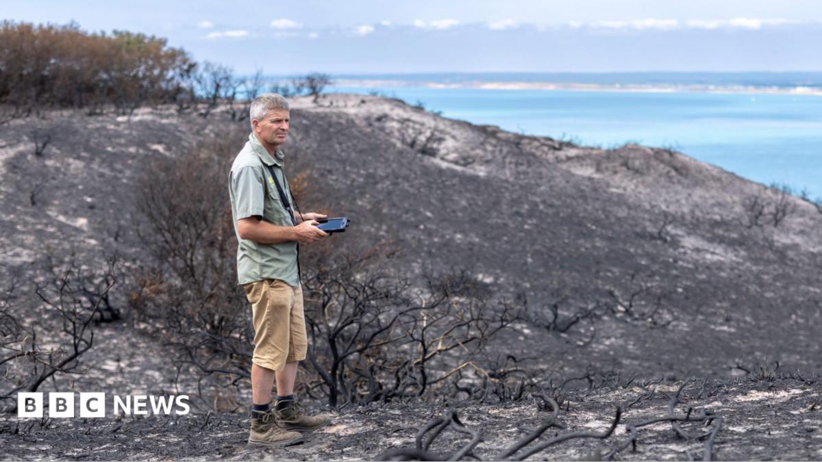 ‘Upsetting’ that camp fire likely led to rare habitat blaze