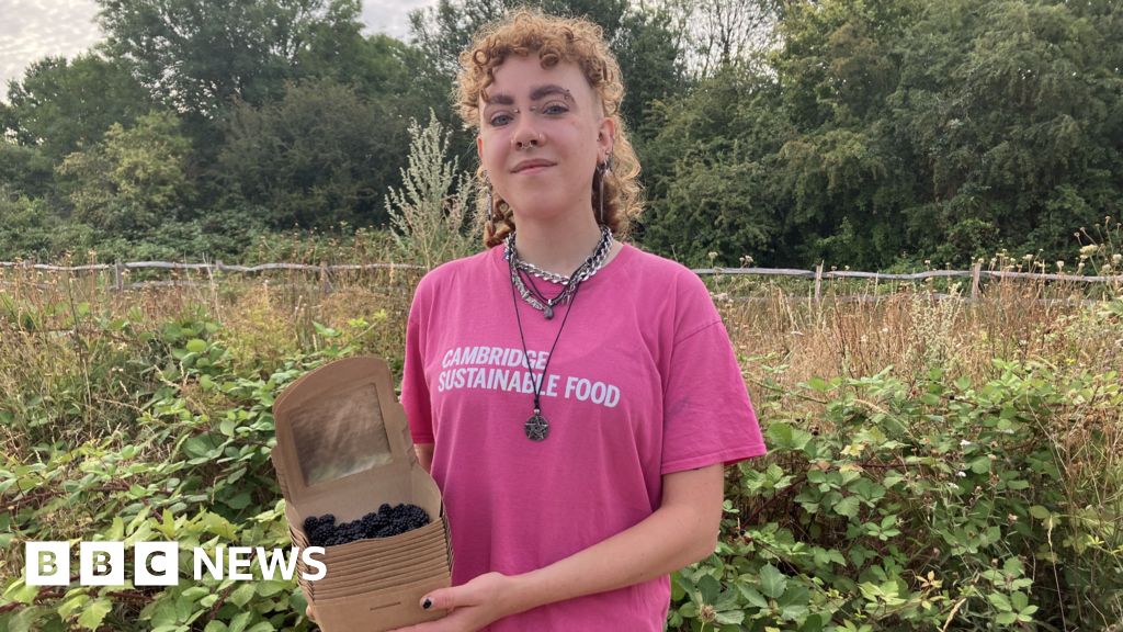 ‘We are rescuing unpicked blackberries’