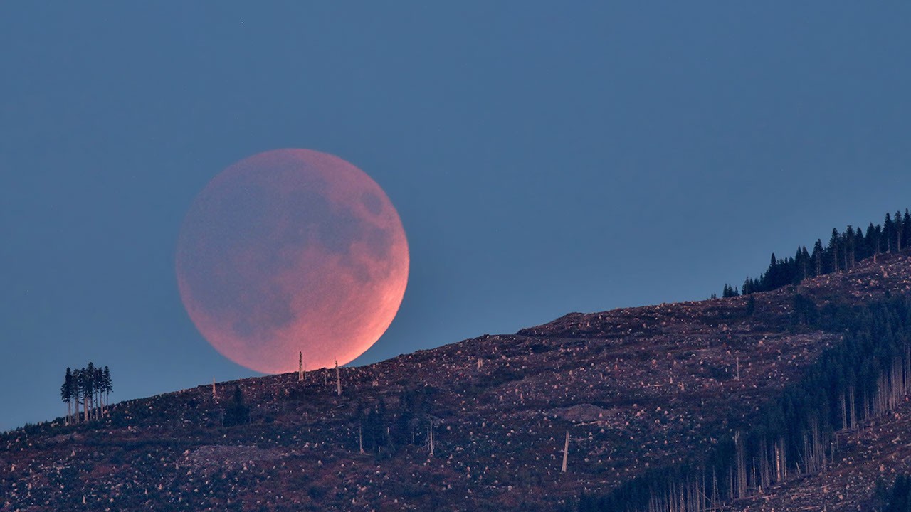 What’s Up: August 2026 Skywatching Tips from NASA