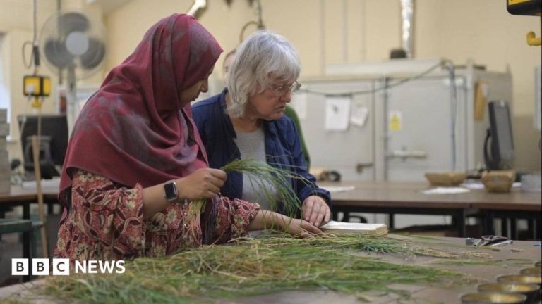 Why scientists watched grass grow for 170 years