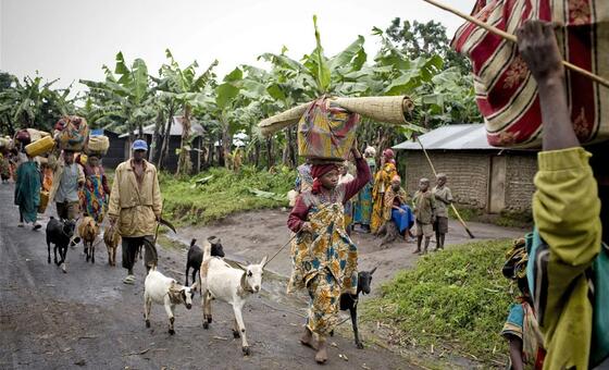 World News in Brief: Sexual violence in DR Congo, deaths in Ukraine and Russia, crime in Southeast Asia
