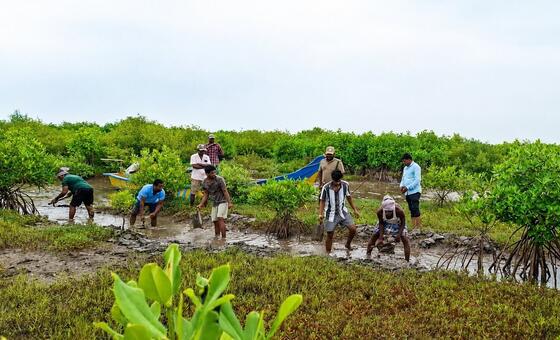 Africans bear the brunt of biodiversity loss
