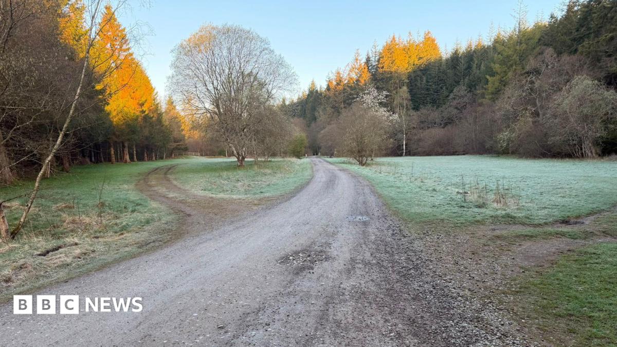 Agency says forest campsite could ‘risk life’