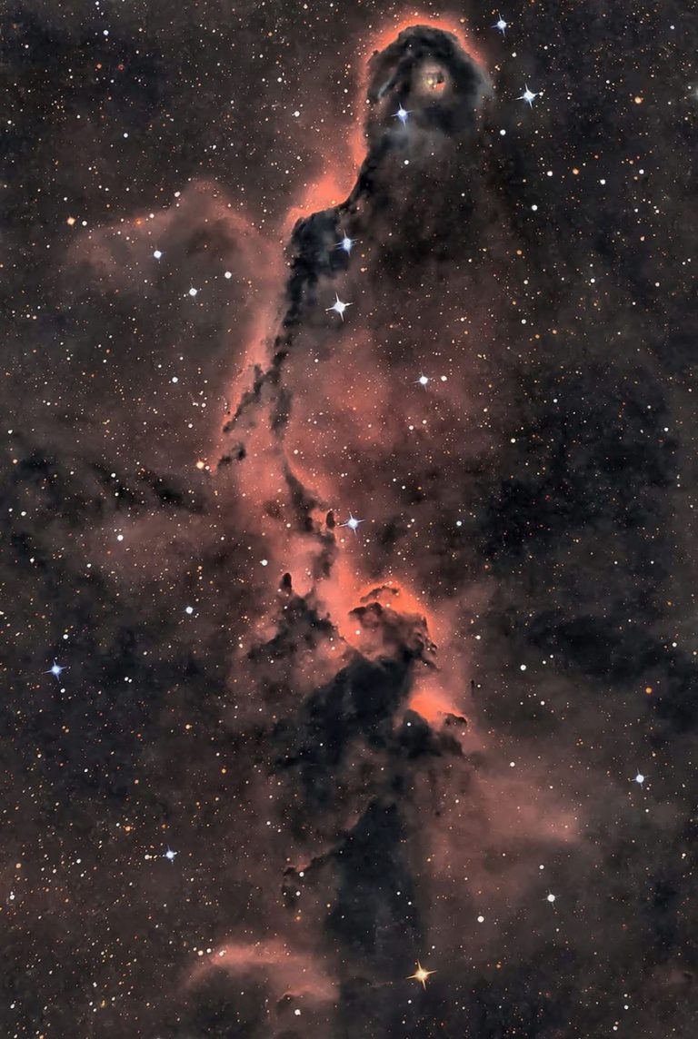 APOD: 2026 August 20 – The Elephant’s Trunk in Cepheus