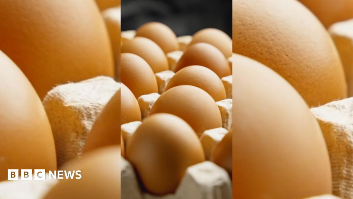 Are eggs safe to eat? Your salmonella questions answered