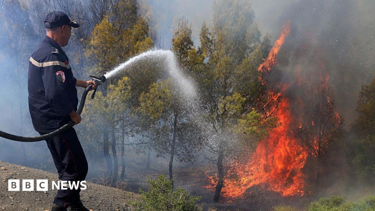 At least 12 dead as wildfires sweep through northern Algeria