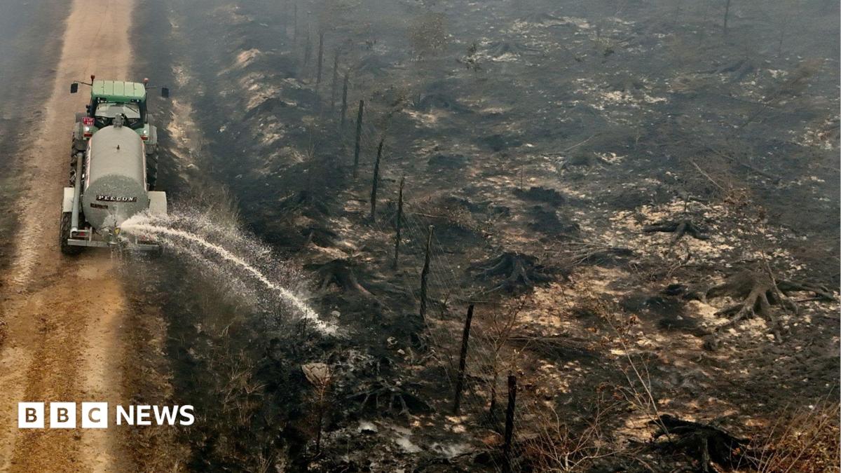Belgian wildfire doubles in size on third day tearing through nature reserve
