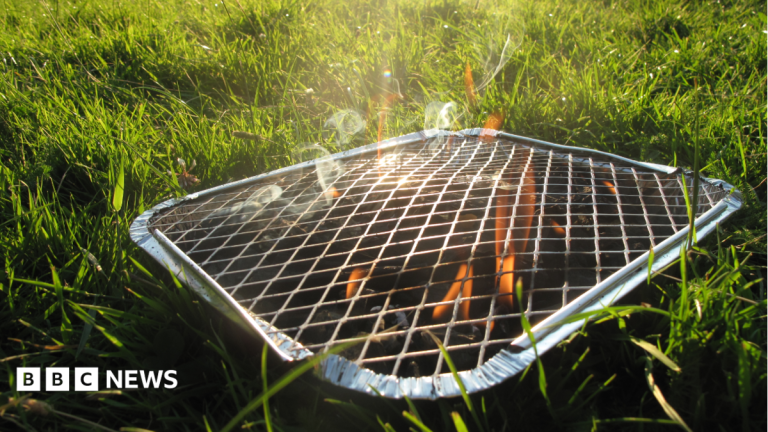 Burnham says disposable BBQ ban under consideration