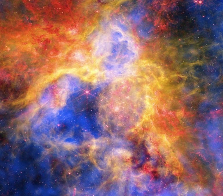 Colorful Collage of Tarantula Nebula