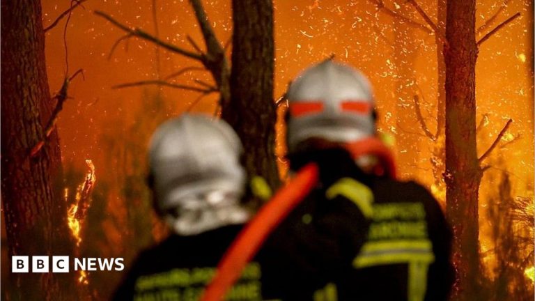 Could tech replace firefighters in the battle against wildfires?