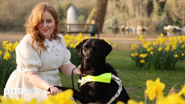 Disabled in a heatwave: ‘We’re talking about survival’