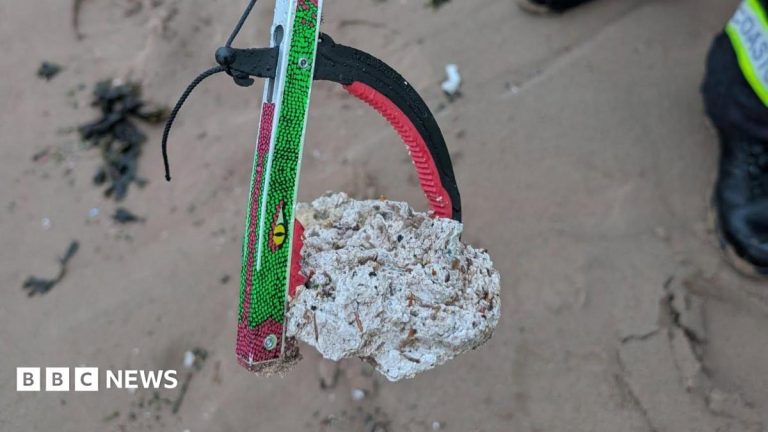 Dog warning as suspected palm oil washes up on beach
