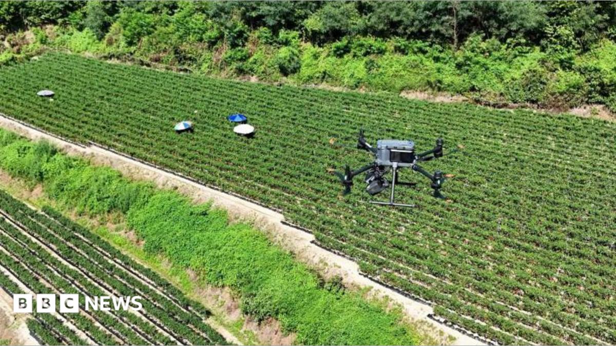 Drone warnings and sheltering in airports as South Korea battles historic heatwave