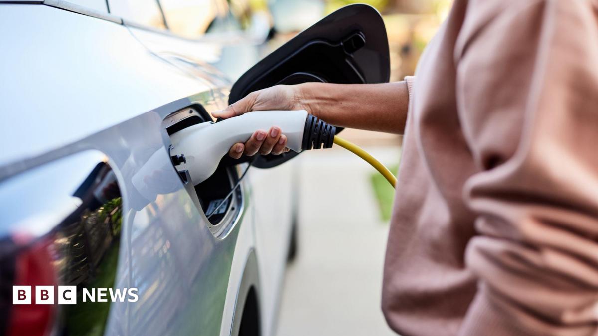 Electric vehicle sales targets could be cut after pressure from car makers
