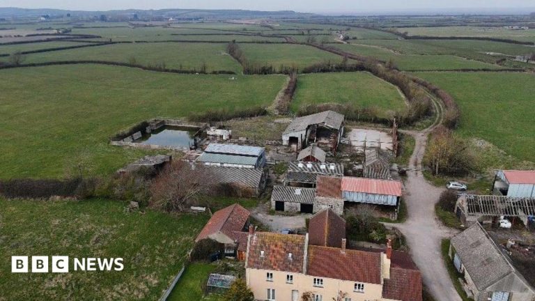 Farm to become ‘beacon of hope’ nature reserve