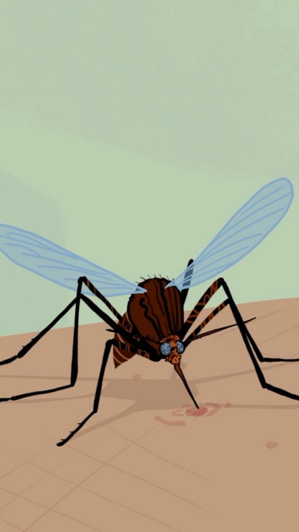 Fighting the world’s most deadly animal… in an unexpected way