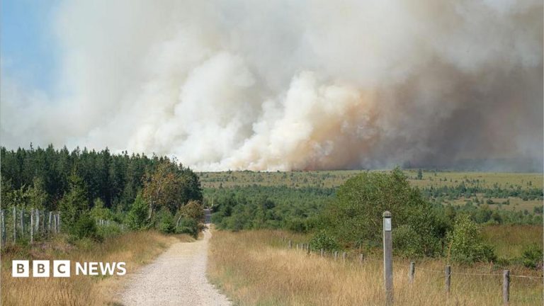 Firefighters battle wildfire tearing through Belgian nature reserve