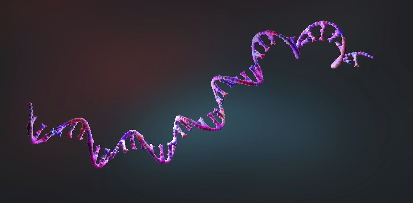 First mRNA flu shot approved by FDA bodes well for improving drugs of the future – though a few hurdles remain before mRNA can move beyond vaccines