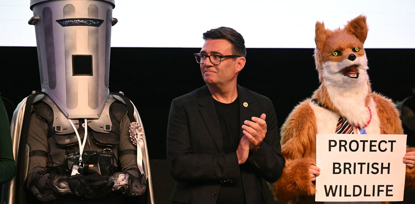 From Count Binface to AI Steve: why are we voting for joke candidates?