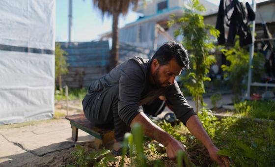 Gaza: Children still at risk despite drop in acute hunger