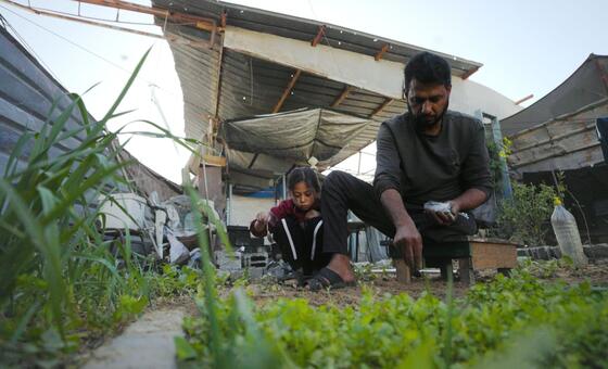 Gaza: Only three per cent of cropland available to grow food