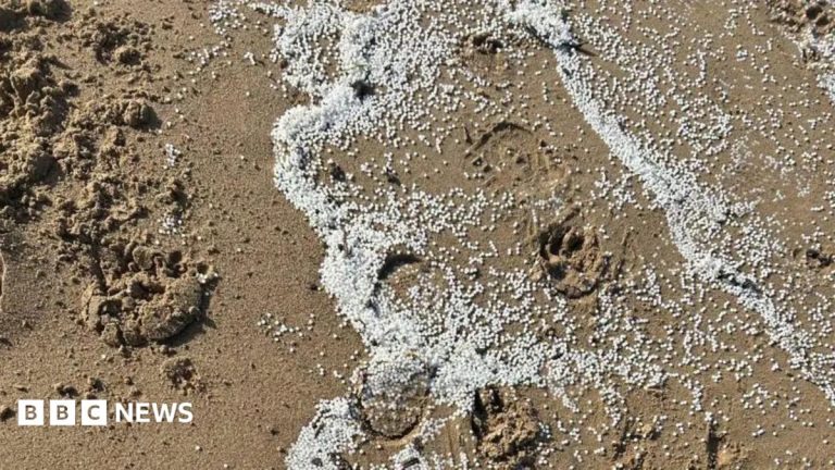 Government criticised over plastic spill response
