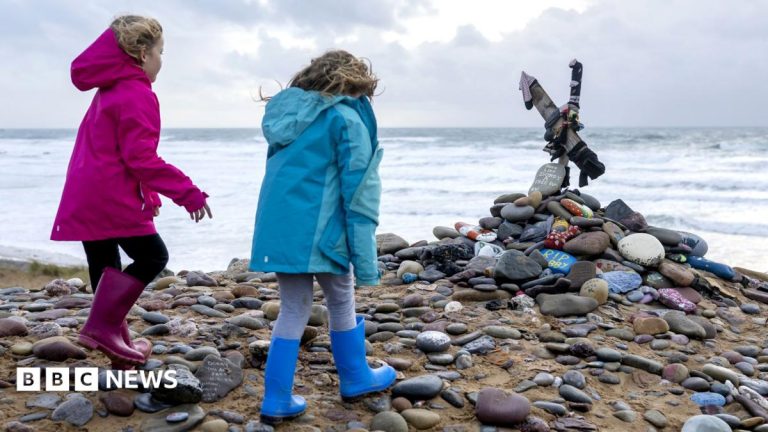 Harry Potter fans force diversion of UK-Ireland power link to avoid ‘Dobby’s grave’