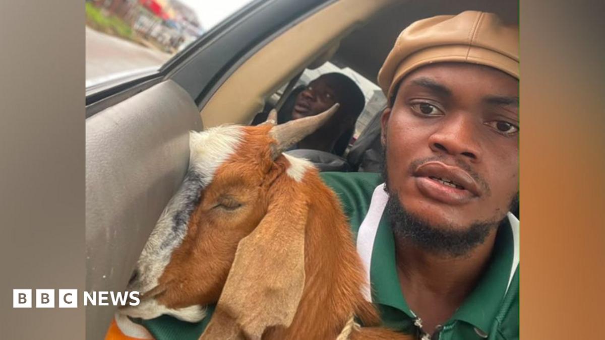 How a goat given as a graduation gift went viral