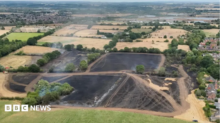 How can landscape recover after devastating fires?