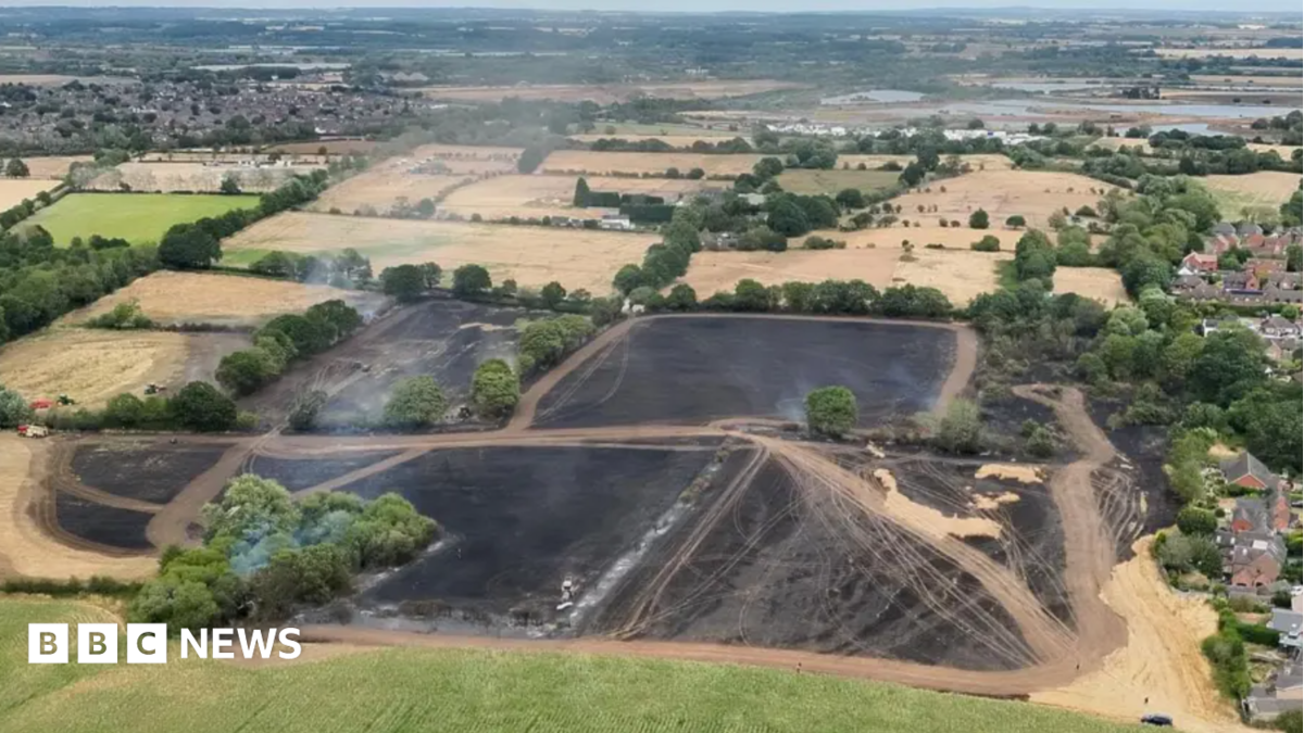 How can landscape recover after devastating fires?
