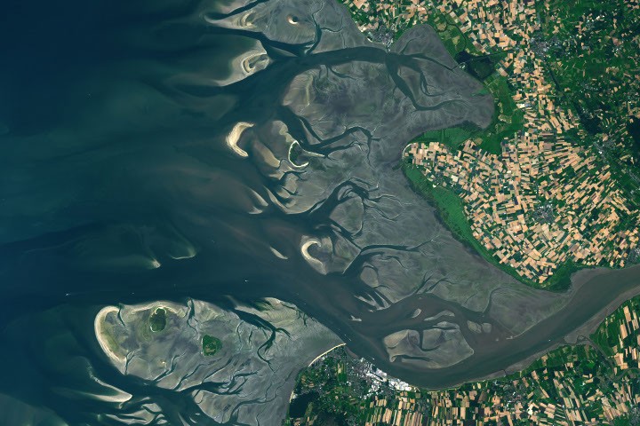 How the Tide Turns at the Mouth of the Elbe